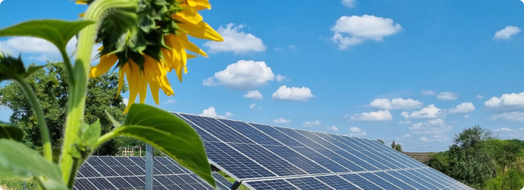SUNRISE Сонячні електростанції для домогосподарств і підприємств