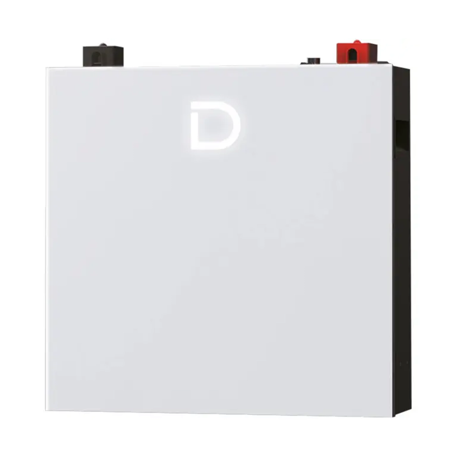 1039-01-01 Акумуляторна батарея Dyness DL5.0C PRO 51.2V 100Ah LiFePO4 (АРТ DL5.0C Pro) - Зображення 1